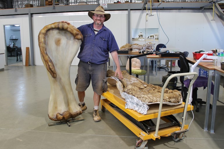 Giant dinosaur species found in Australia, among world&#39;s largest | History News | Al Jazeera