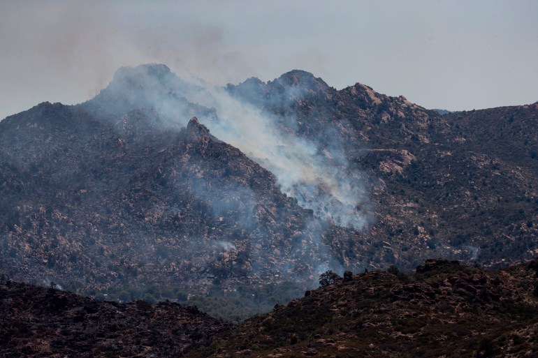 Dezenas de incêndios estão queimando no oeste dos Estados Unidos em junho [Arquivo: Mark Henle / AP Photo]