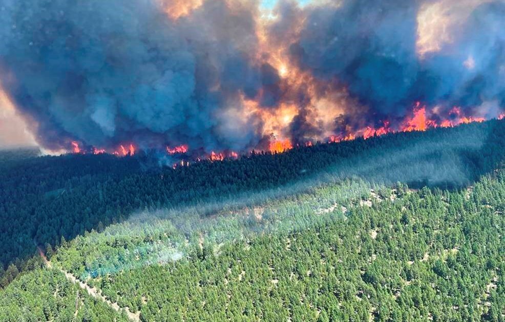Lệnh sơ tán khi cháy rừng hoành hành ở bờ biển phía tây Canada |  Tin tức