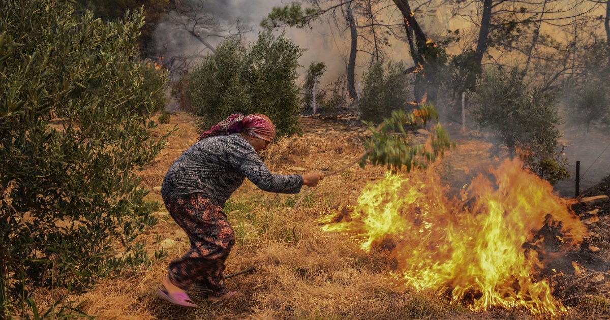 Turkey declares ‘disaster areas’ as wildfire death toll rises