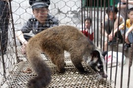 A civet cat in a chicken wire cage watched over by a Chinese policeman after the animal was identified as a possible vector for the SARS virus in 2003