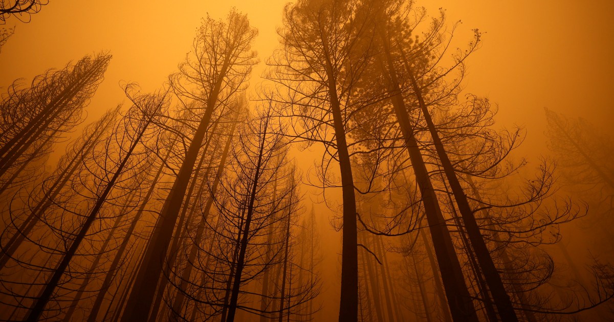 Dixie Fire in California è ora il secondo più grande nella storia dello stato |  Notizie sul clima
