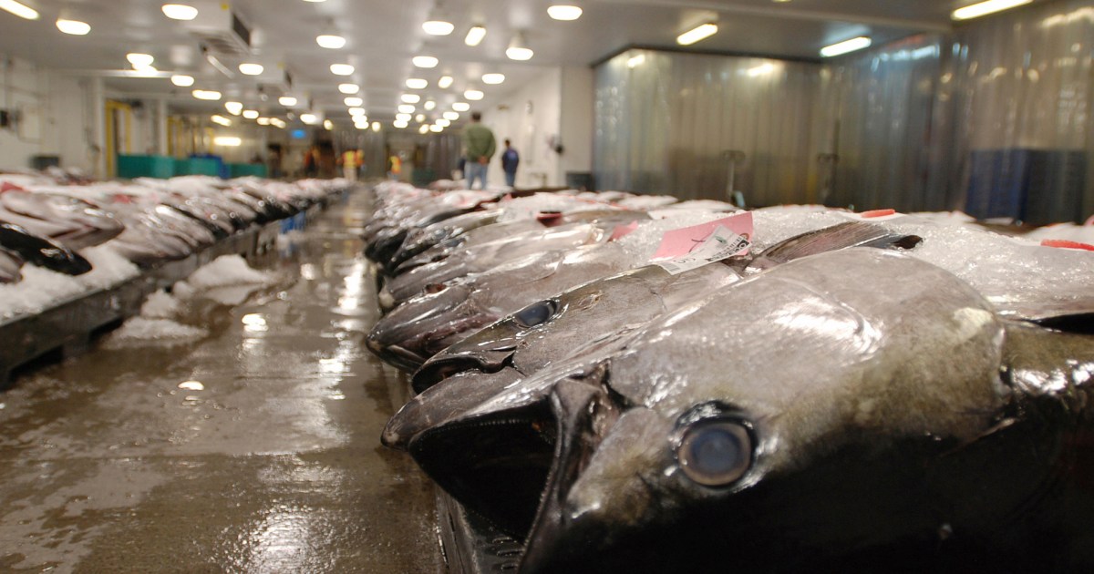 US blocks seafood from Fiji ship accused of enslaving crew
