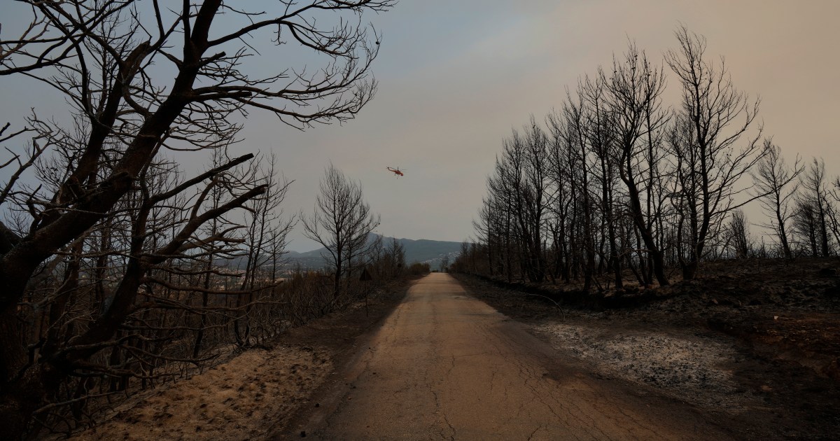 Gli incendi boschivi continuano in alcune parti della Grecia |  Notizie sul clima