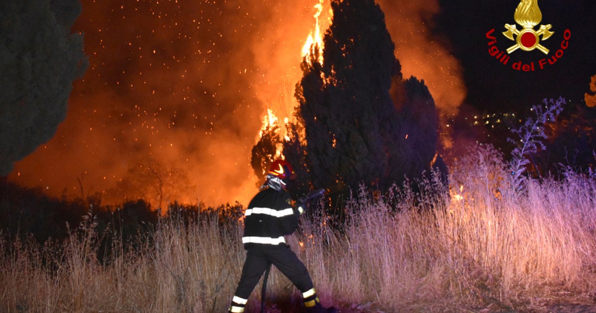 La Sicilia registra la temperatura più alta di sempre in Europa a causa degli incendi |  Notizie sulla fauna selvatica