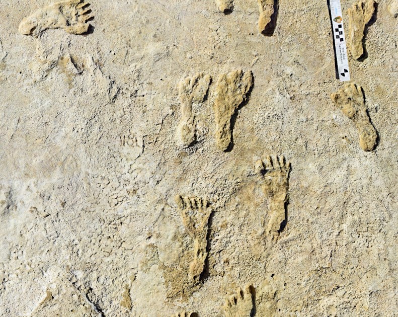 Photo of Najstaršie ľudské stopy v Severnej Amerike boli nájdené v Novom Mexiku.  Správy o vede a technike