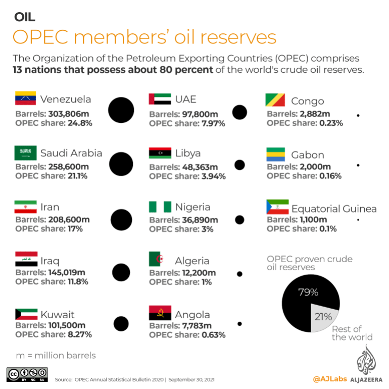 INTERACTIVE- OPEC members