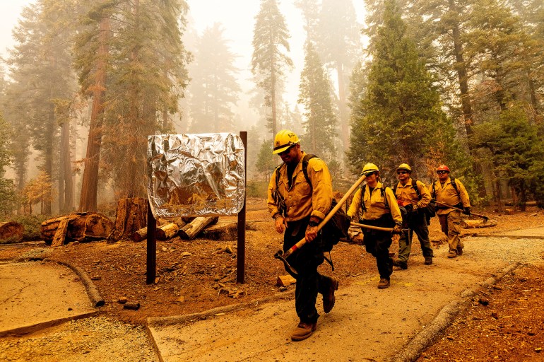 As US western wildfires ravage property, protection services boom | Weather News