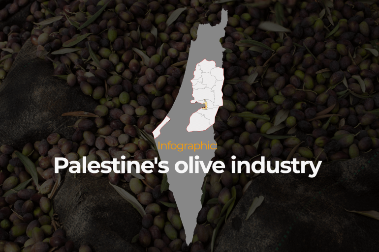 INTERACTIVE - Palestine's olive oil industry