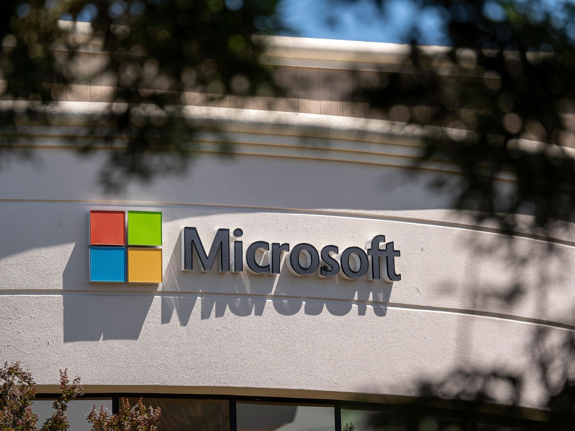 Microsoft takes on Google Search with AI | Technology News