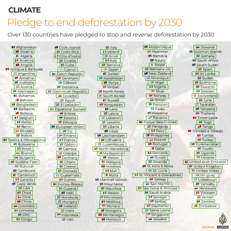 البلدان التي تعهدت بإزالة الغابات في COP26