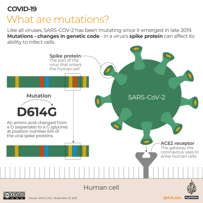 INTERATIVO- COVID19 - O que são mutações