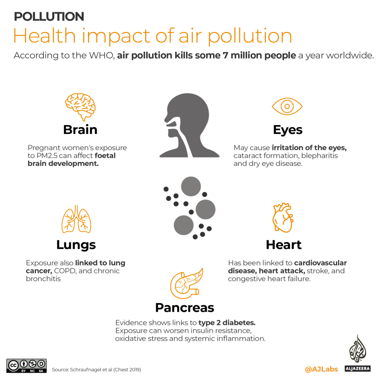 INTERAKTIF- gejala polusi udara