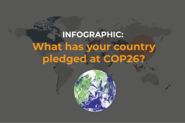 Article thumbnail for the COP26 wrap up