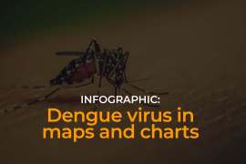 Outside image of the article, it shows a dengue infected mosquito