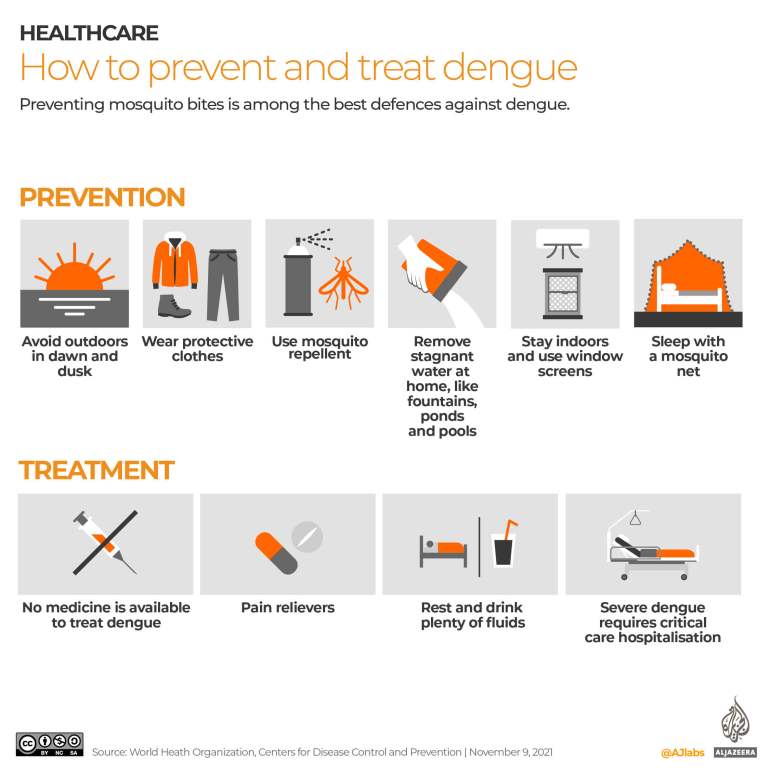 Prevention and treatment of dengue virus