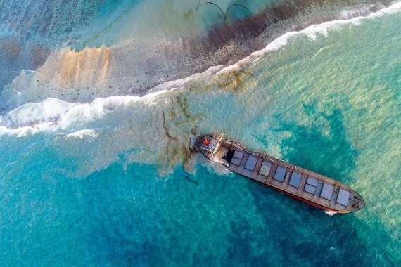 The MV Wakashio, a Japanese-owned but Panamanian-flagged vessel, ran aground in July 2020, spilling more than 1,000 tonnes of toxic fuel into the pristine waters of Mauritius, coating mangroves, corals and other fragile ecosystems.     