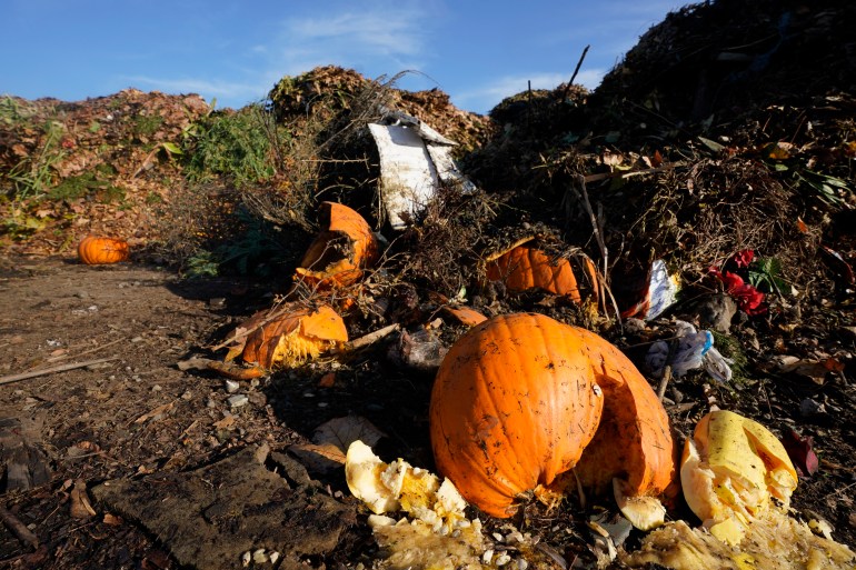 Pumpkins, along with garden waste and other organic waste, await composting at the Anaerobic Composter Facility in Woodland, California.