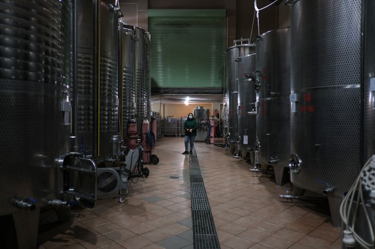 Deniz Topsakal in the basement of her family's vineyard.