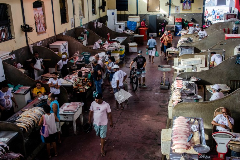 A wide angle view of the fish market in Belém