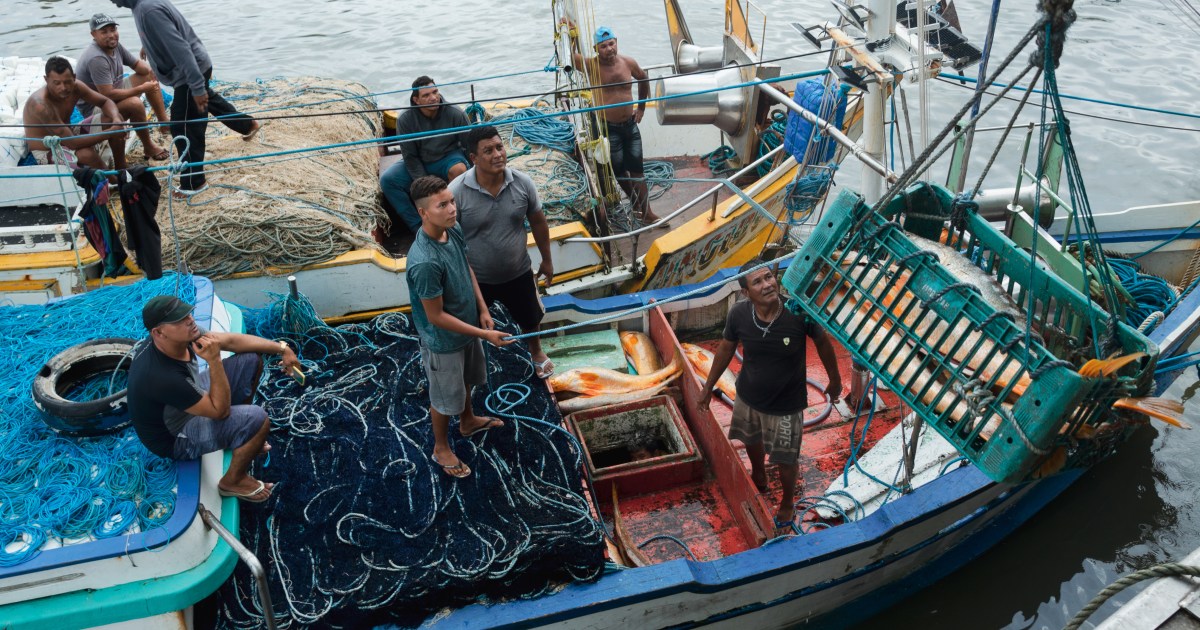 ‘Gold in the sea’: Brazil’s booming fish bladder trade - Al Jazeera English