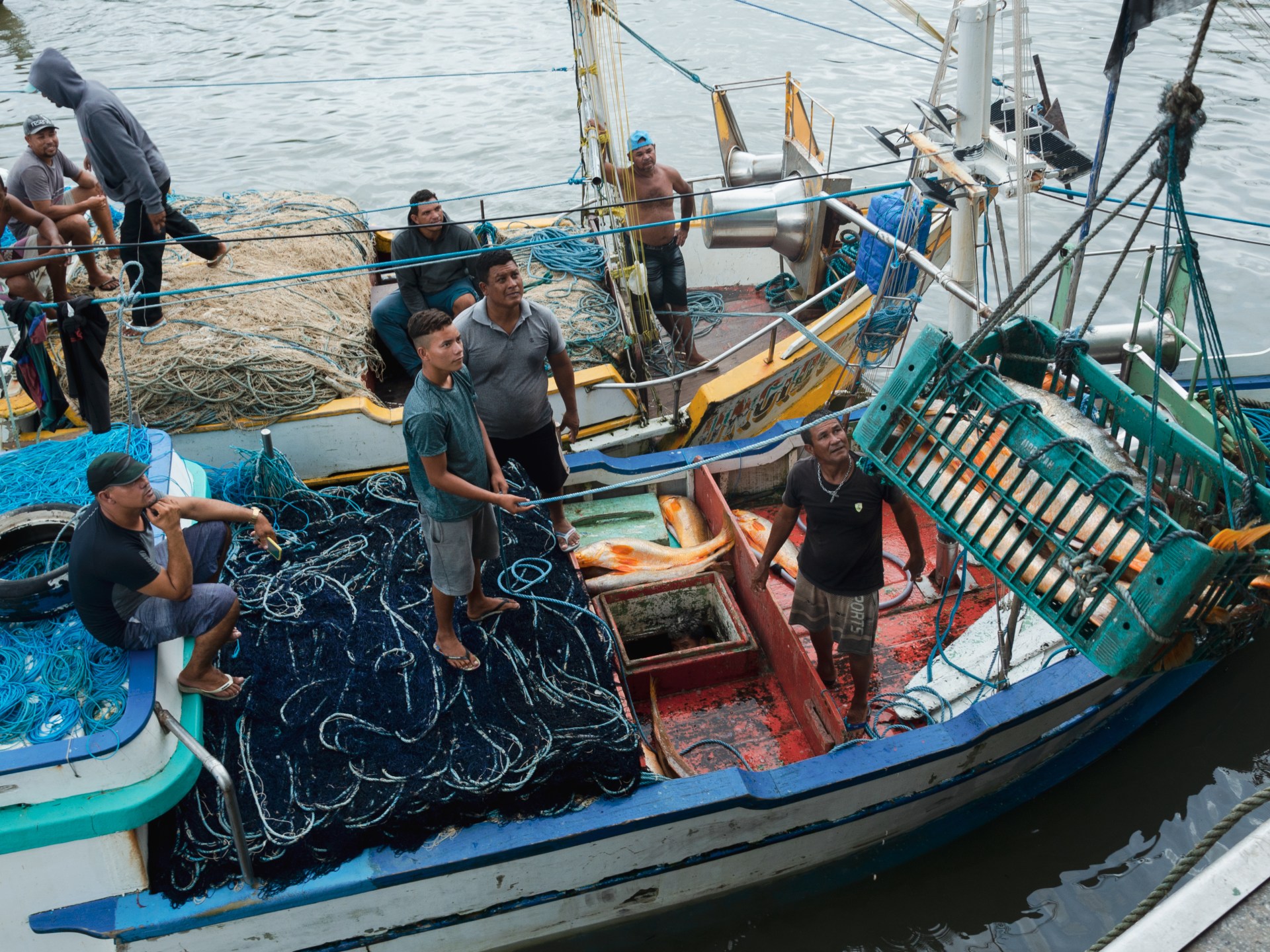 Gold in the sea': Brazil's booming fish bladder trade | Food | Al Jazeera