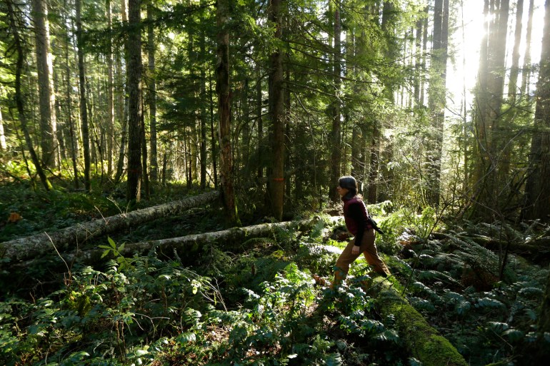 Paula Swedeen, a forest policy specialist for the Washington Environmental Council, walks through forest land adjacent to Mount Rainier National Park