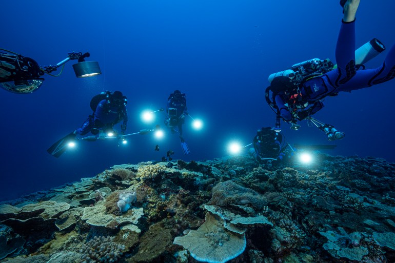 5 divers shine light on a coral reef