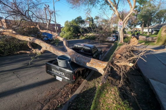 A fallen tree sits on top of a vehicle after strong winds in Upland