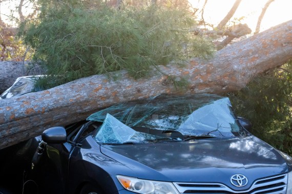 A fallen tree off sits on top of a vehicle after strong winds in Upland