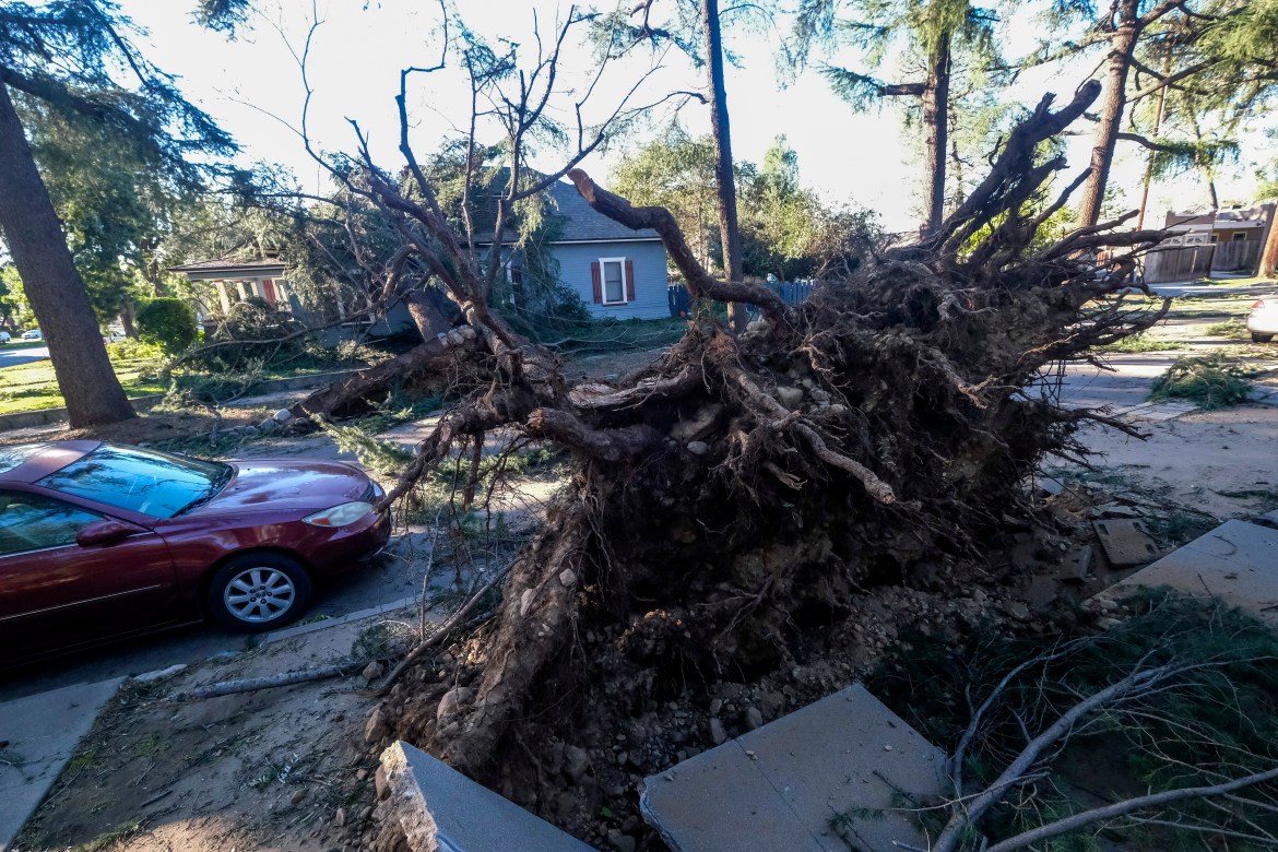 A fallen tree leans on a home after strong winds in Upland