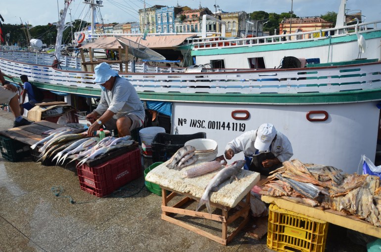 Fishers sell fish on the side of a boat in Belém, Brazil