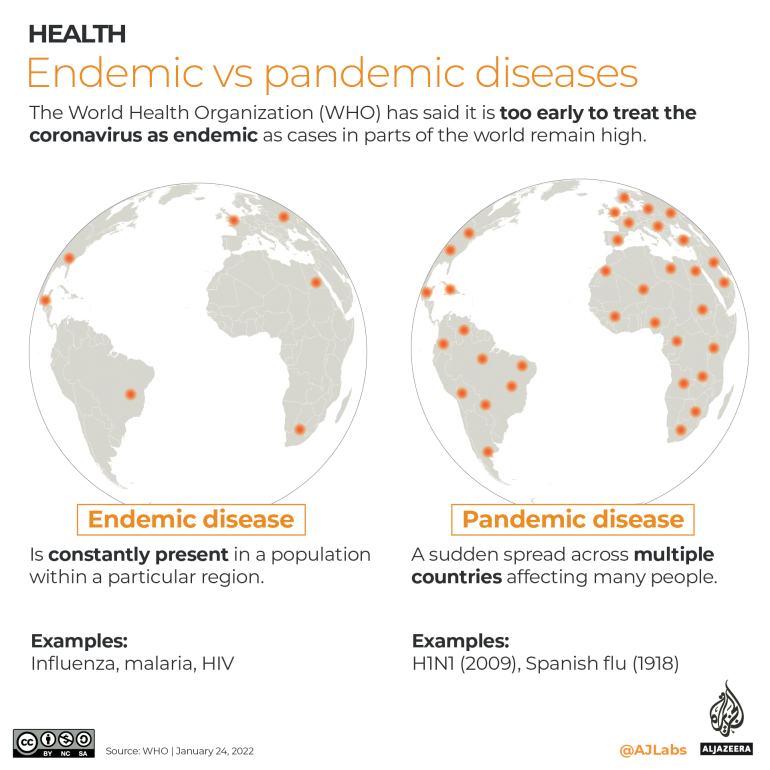 INTERACTIVE - COVID19 - Endemic versus pandemic diseases