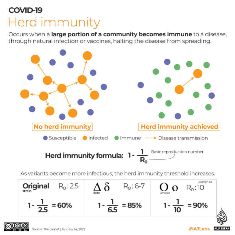 INTERACTIVE - COVID19 - herd immunity ratio