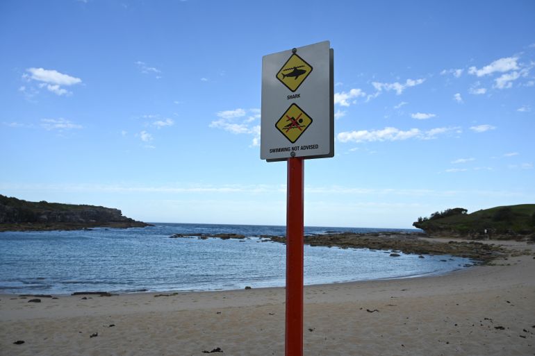 A public order notice is seen near the site of a fatal shark attack