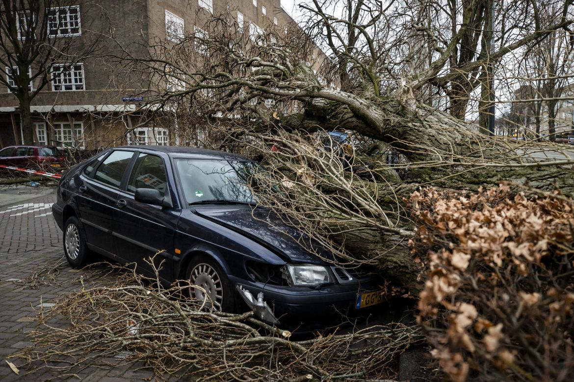 A car lies under a fallen tree in Amsterdam
