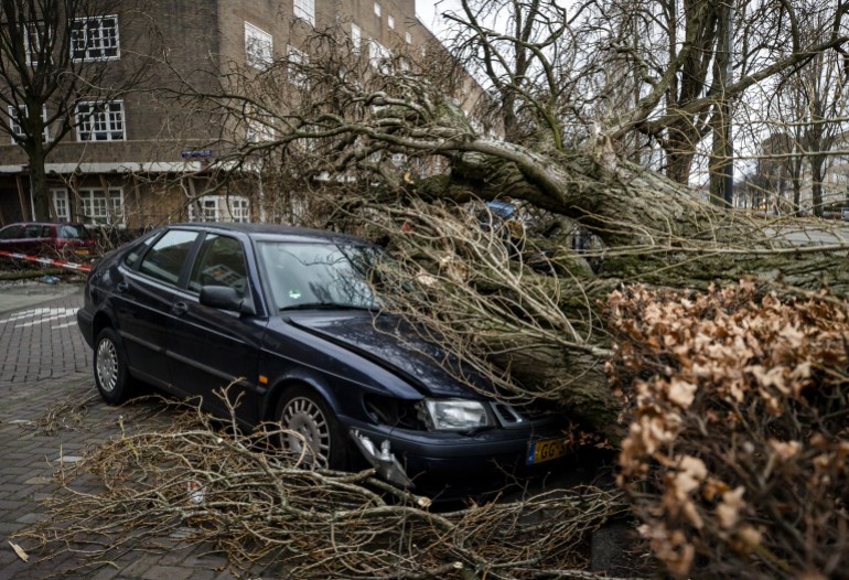 A car lies under a fallen tree in Amsterdam after storm