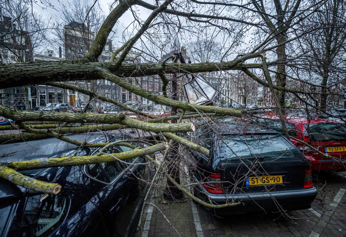 A tree lies over several cars on Keizersgracht downtown Amsterdam