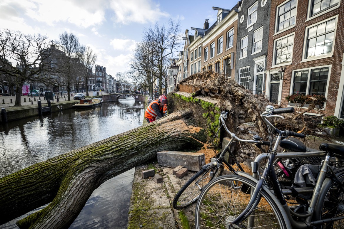 Municipal employees clean up a fallen tree on Reguliersgracht in Amsterdam