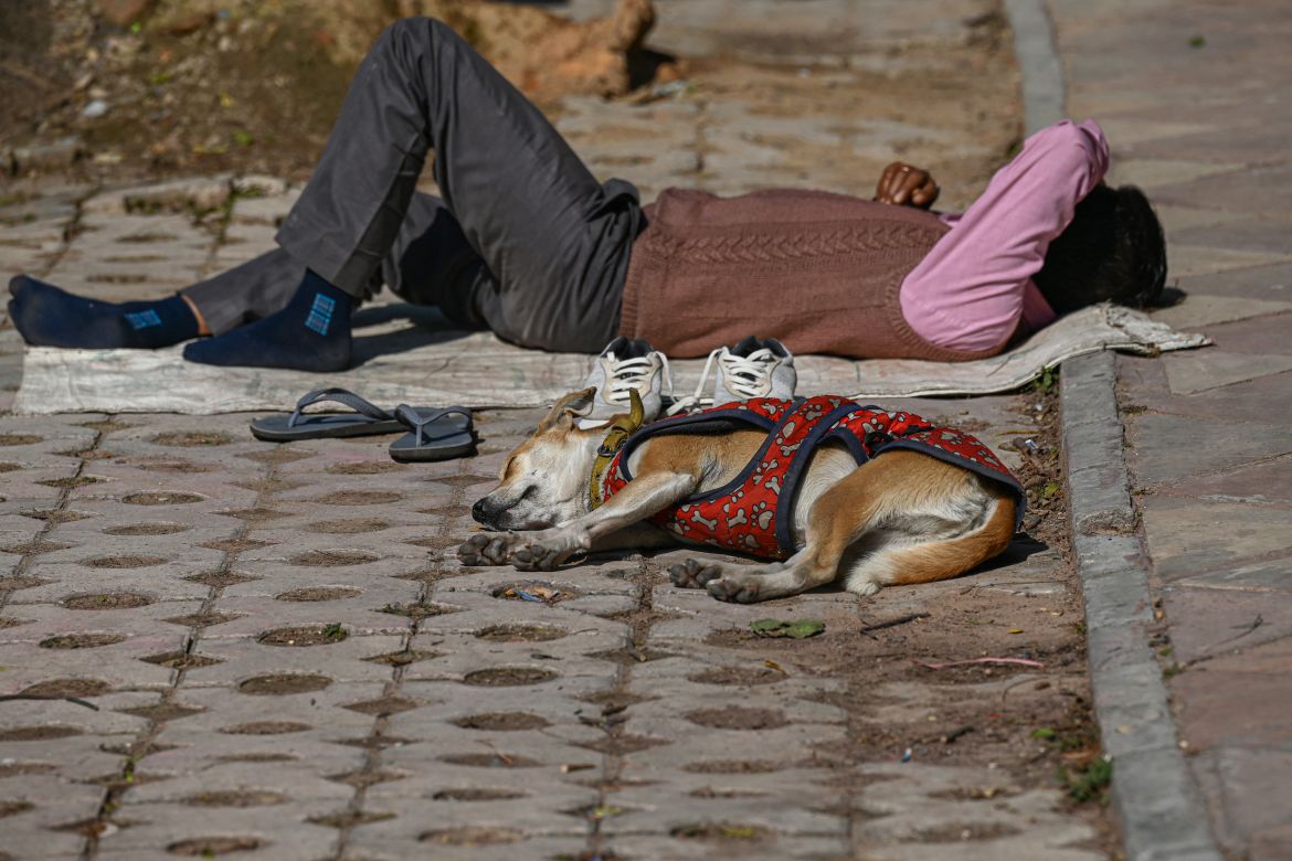 In this picture taken on January 29, 2022, shows a stray dog wearing warm covering sleeping besides a homeless man along a sidewalk in New Delhi.