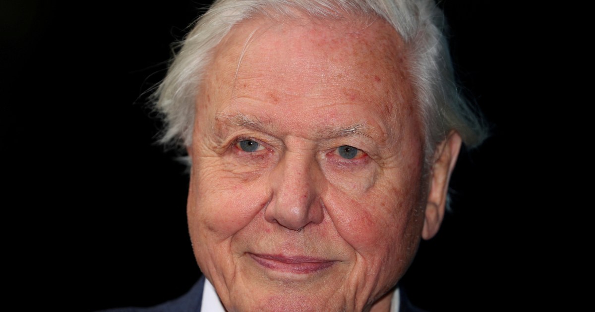 Attenborough, WHO, Pope Francis among Nobel Peace Prize nominees