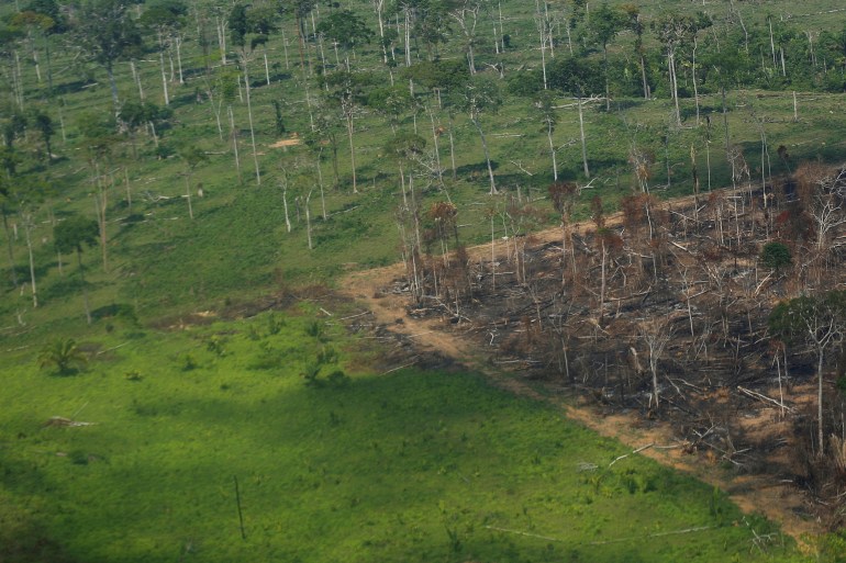 Deforested plot in the Amazon