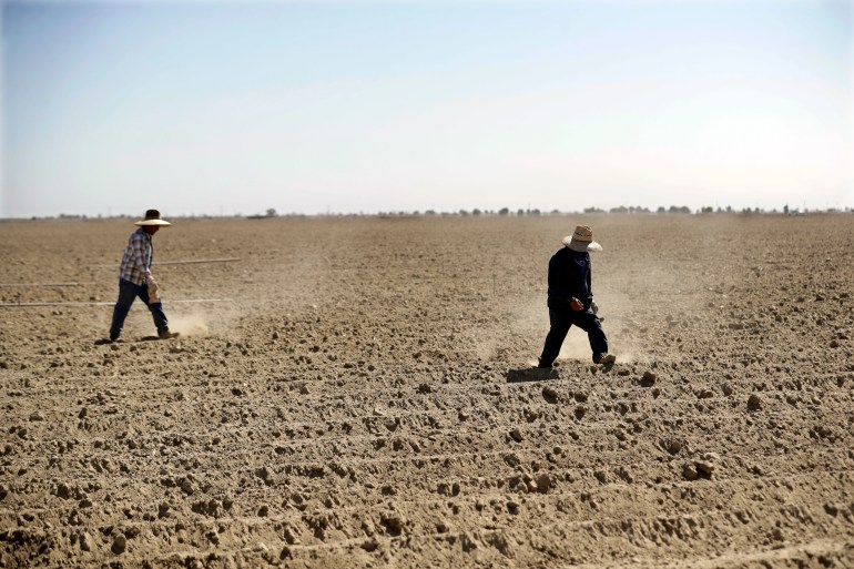Farmers walking on dry field