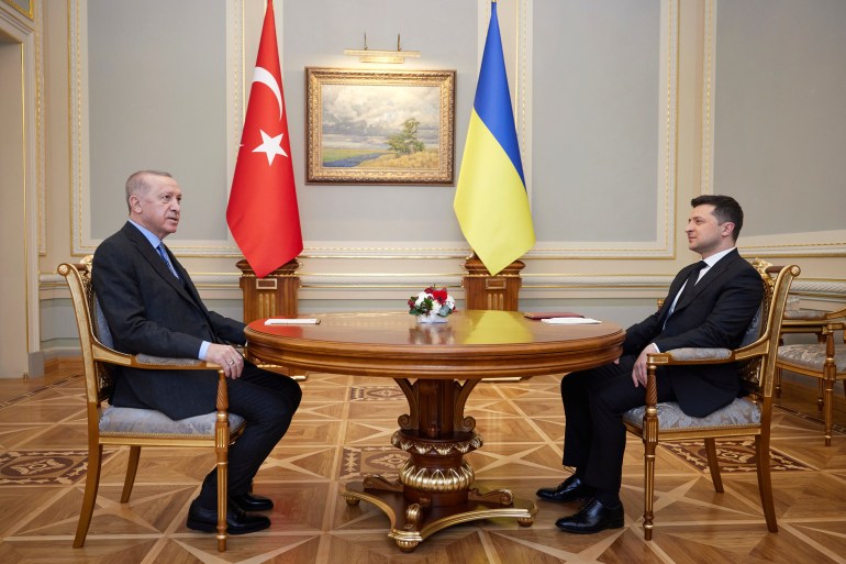Ukrainian President Volodymyr Zelenskyy is seen talking with his Turkish counterpart Recep Tayyip Erdogan in Kyiv
