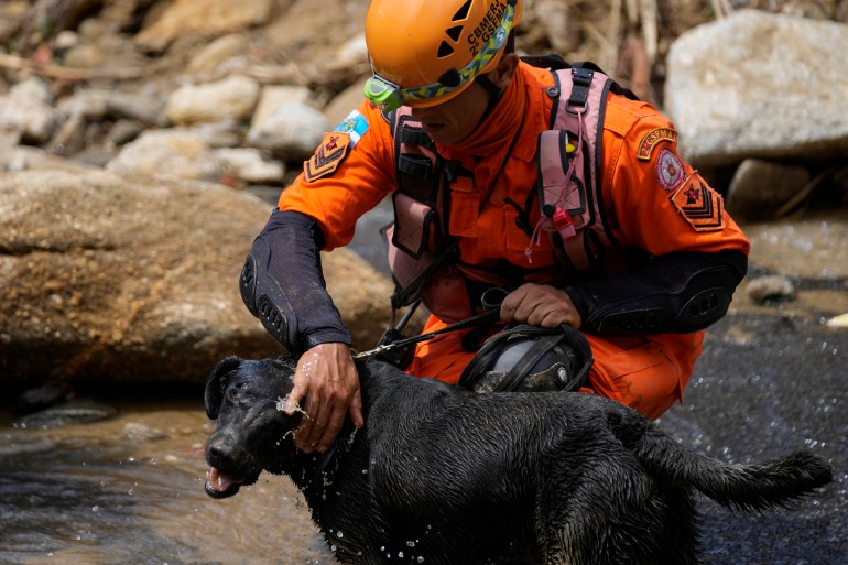  A rescue worker with a search dog
