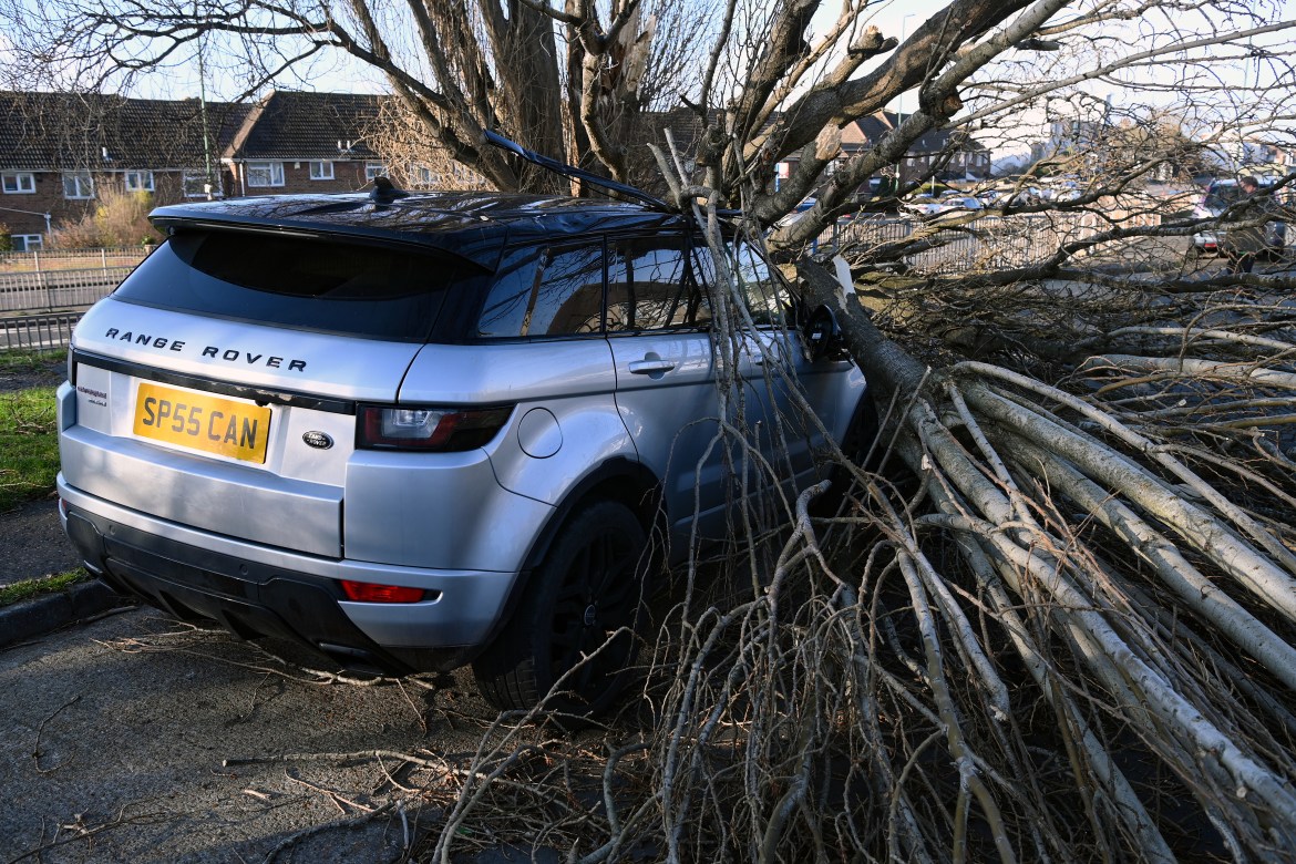 An unlucky car is damaged by a fallen tree