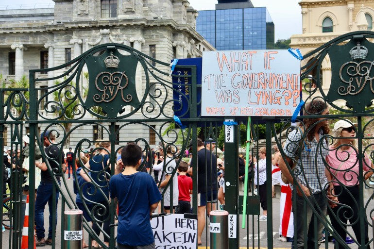 Protesters near Wellington's parliament building.