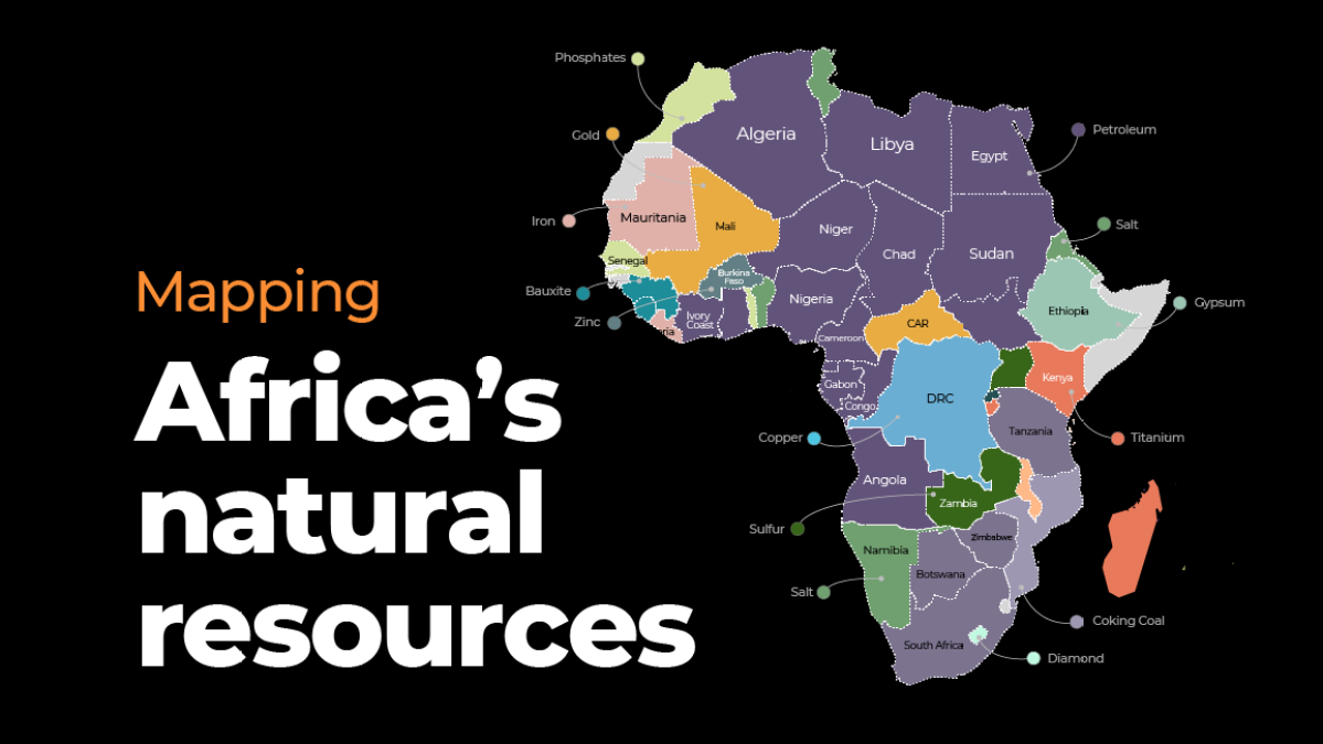 Louis Vuitton African  Natural Resource Department
