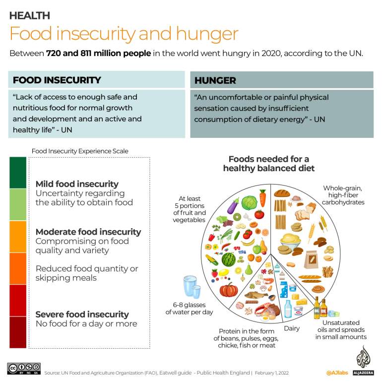 How hunger is measured in a scale and the overview of a daily balanced diet
