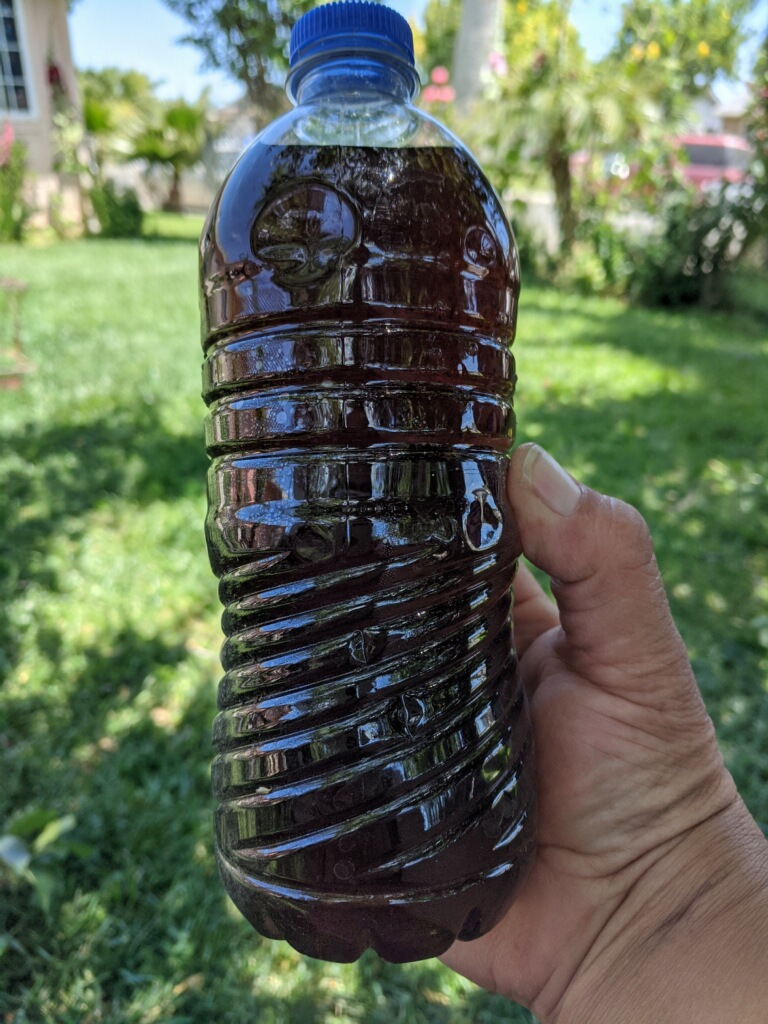Bottle with black water